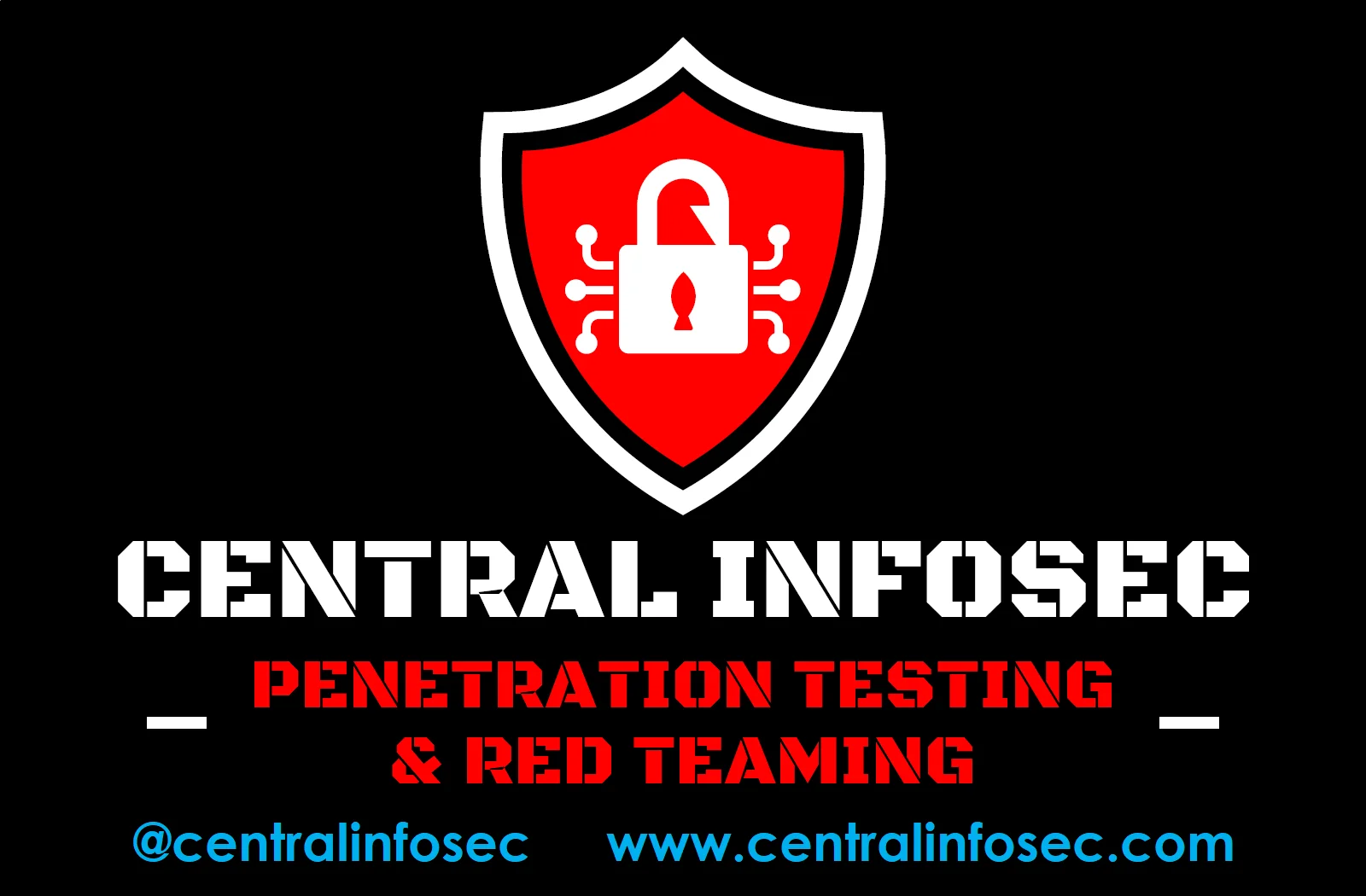 Best Boutique Penetration Testing Firm - Top Rated Red Team Company